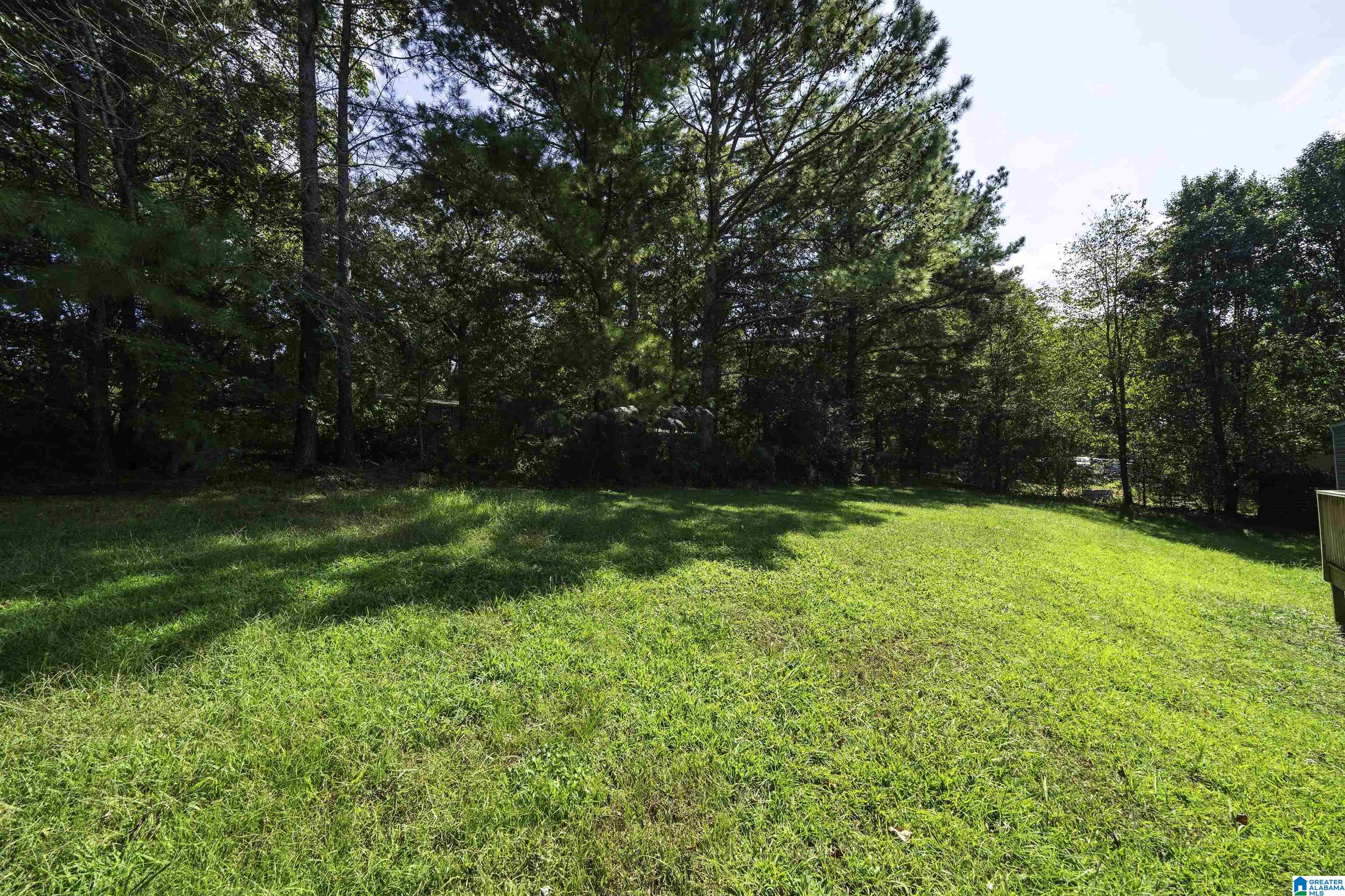 275 Camp Road Springville, AL 35146 - Photo 26 of 37