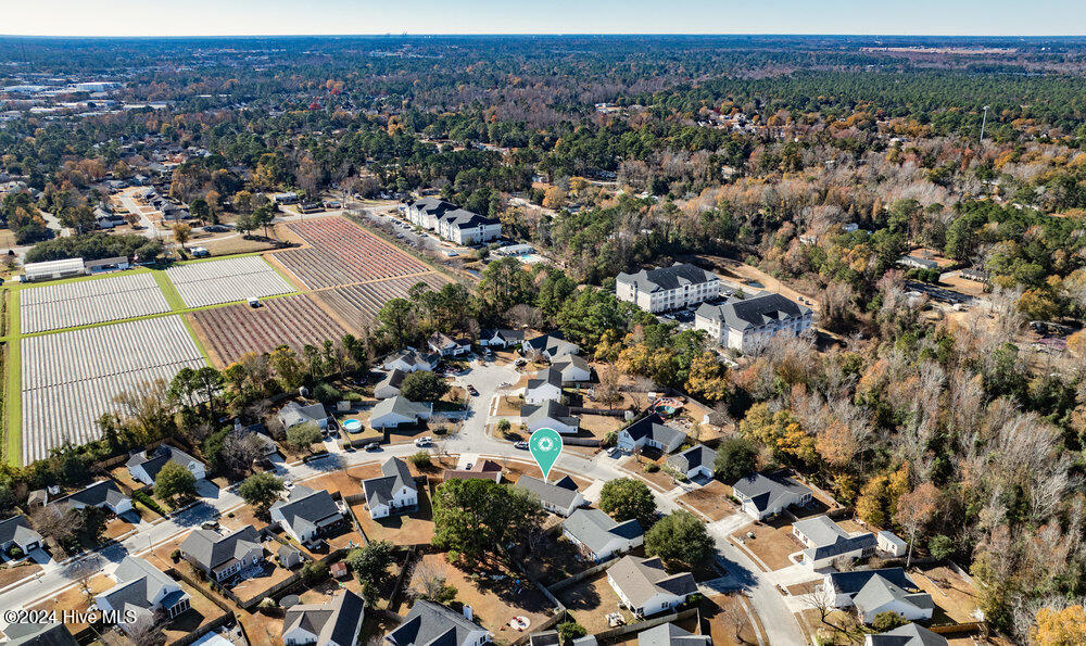 202 Olde Well Loop Road Wilmington, NC 28411 - Photo 42 of 45 Aerial