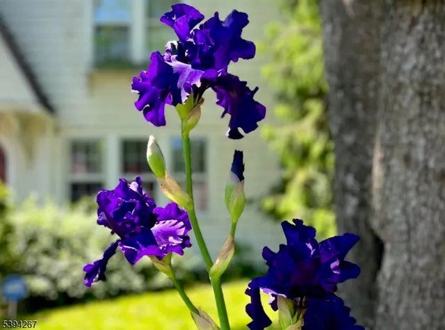 $600,000 | 152 Mitchell Street, West Orange, NJ 07052