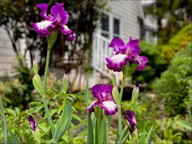 $600,000 | 152 Mitchell Street, West Orange, NJ 07052