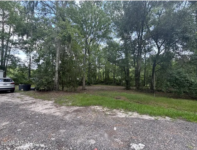 a view of a trees in a park