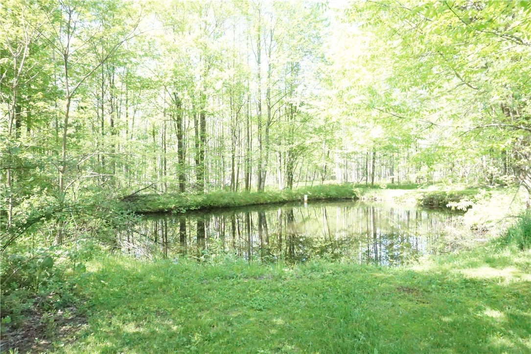 12472 West Ridge Road East Springfield, PA 16411 - Photo 13 of 25