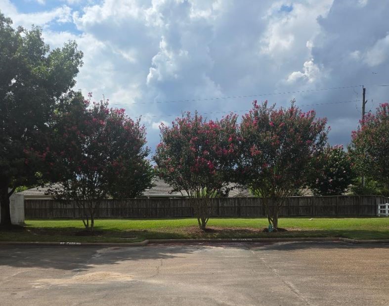 12755 Mill Ridge Drive, Unit 1104 Cypress, TX 77429 - Photo 4 of 20