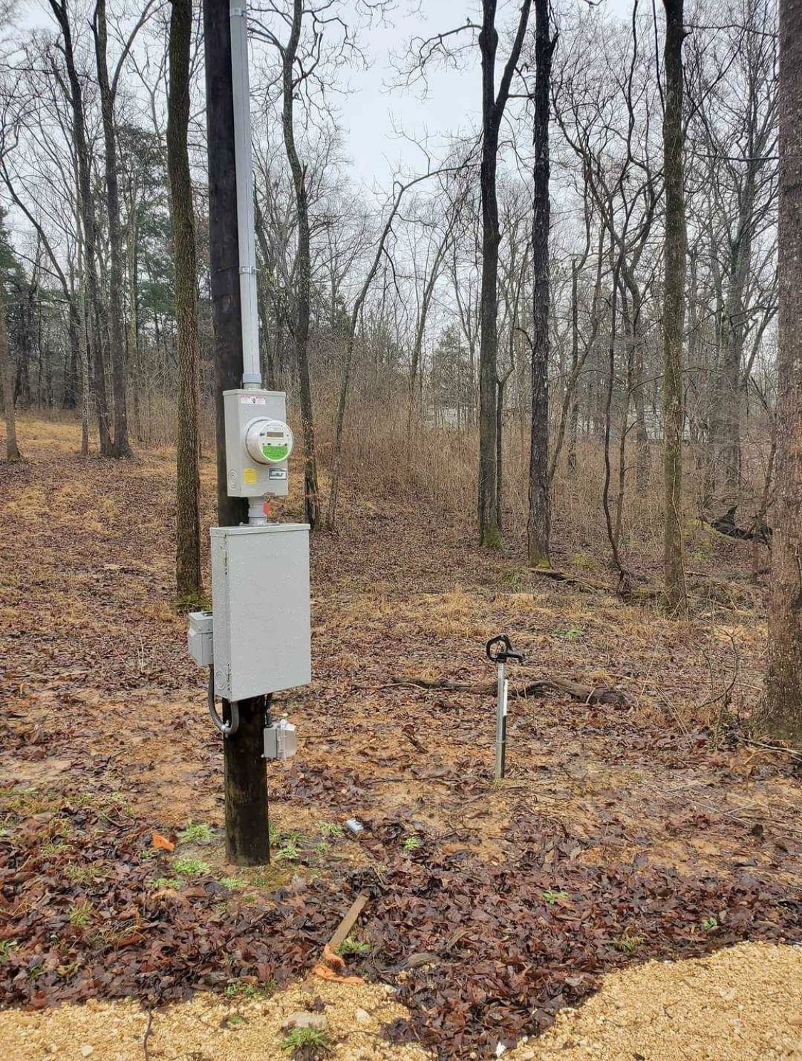 954 Stokes Lane Bath Springs, TN 38311 - Photo 11 of 15 a fire hydrant in the middle of a yard