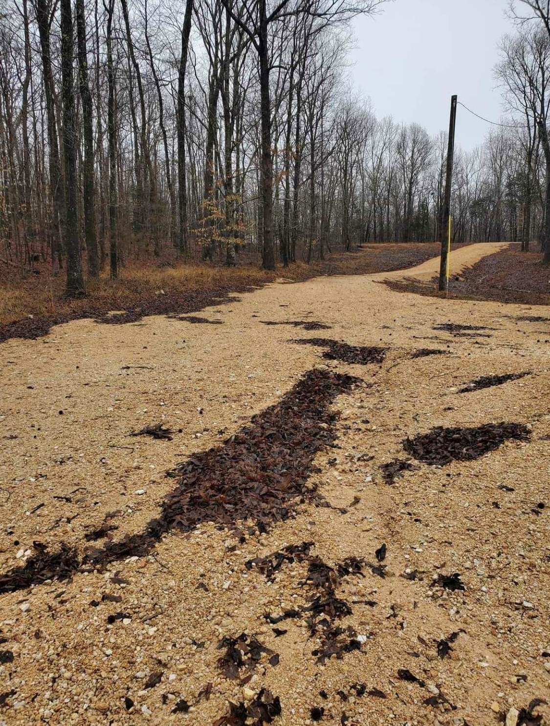 954 Stokes Lane Bath Springs, TN 38311 - Photo 12 of 15 a fire hydrant in the middle of a yard