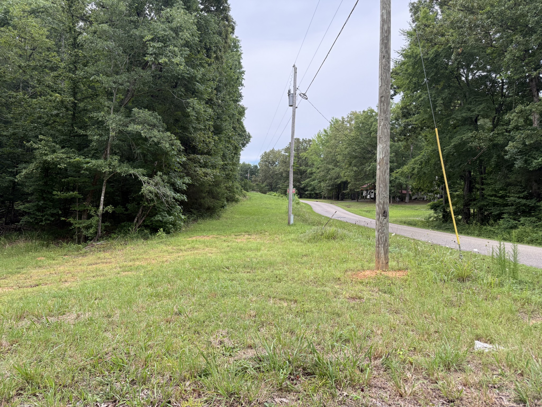 954 Stokes Lane Bath Springs, TN 38311 - Photo 3 of 15