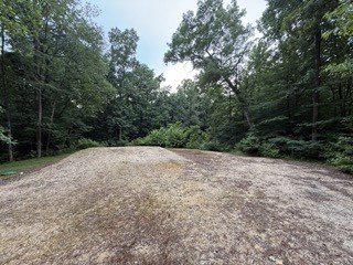 954 Stokes Lane Bath Springs, TN 38311 - Photo 5 of 15 a view of outdoor space and yard
