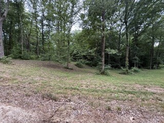 954 Stokes Lane Bath Springs, TN 38311 - Photo 6 of 15 a view of a forest with trees in the background