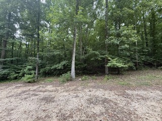 954 Stokes Lane Bath Springs, TN 38311 - Photo 7 of 15 a view of outdoor space and trees