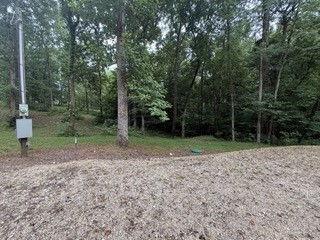 954 Stokes Lane Bath Springs, TN 38311 - Photo 8 of 15 a view of a backyard with trees