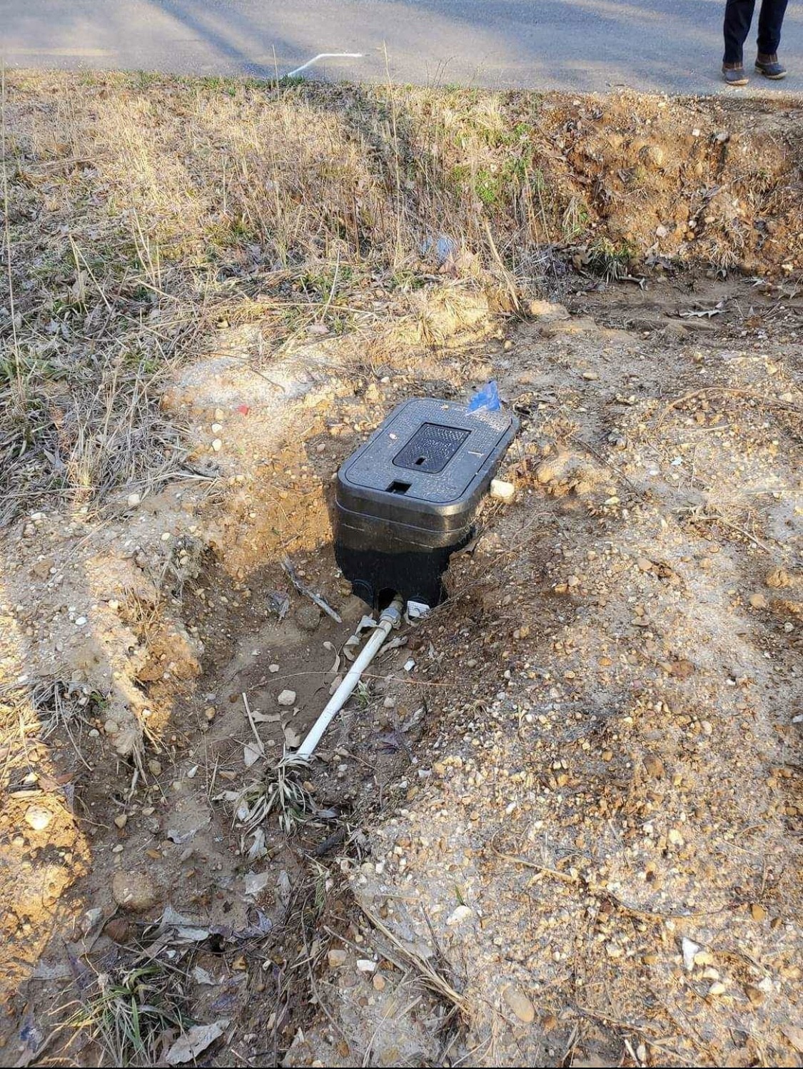 954 Stokes Lane Bath Springs, TN 38311 - Photo 10 of 15 a view of a backyard of a house