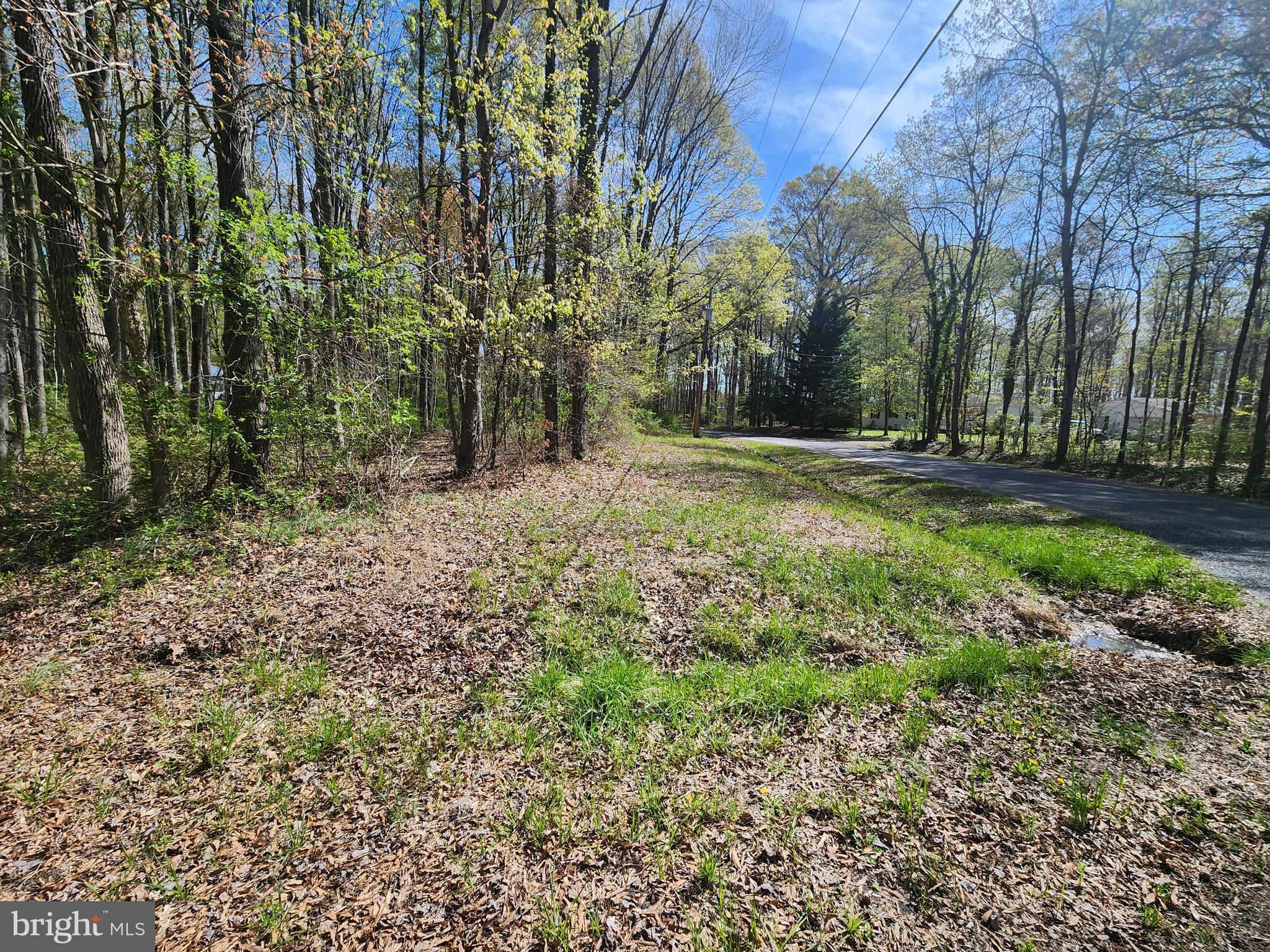 Bunting Road Chestertown, MD 21620 - Photo 4 of 4