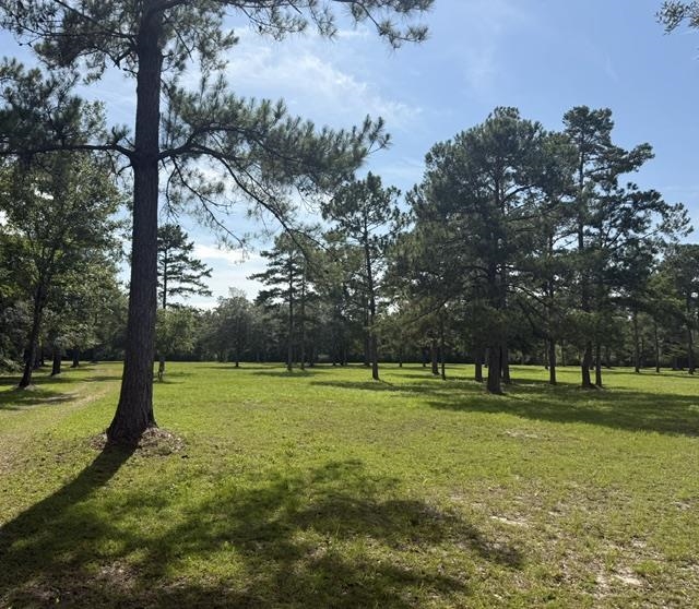 508 Rehwinkel Road Crawfordville, FL 32327 - Photo 2 of 41