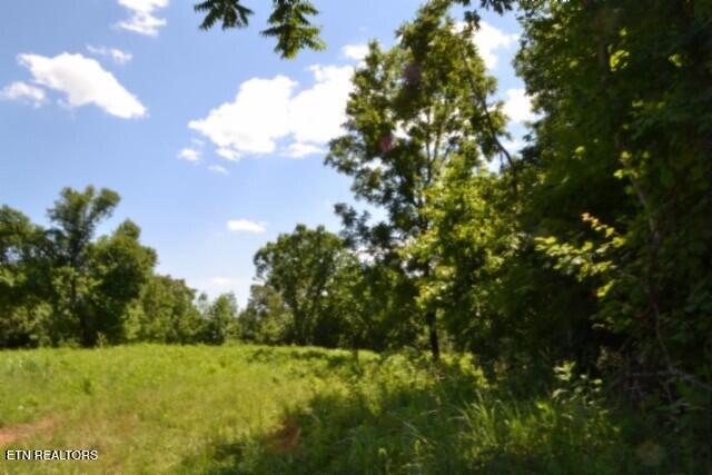 2390 Pea Ridge Fire Tower Road Celina, TN 38551 - Photo 43 of 58 DSC_0137