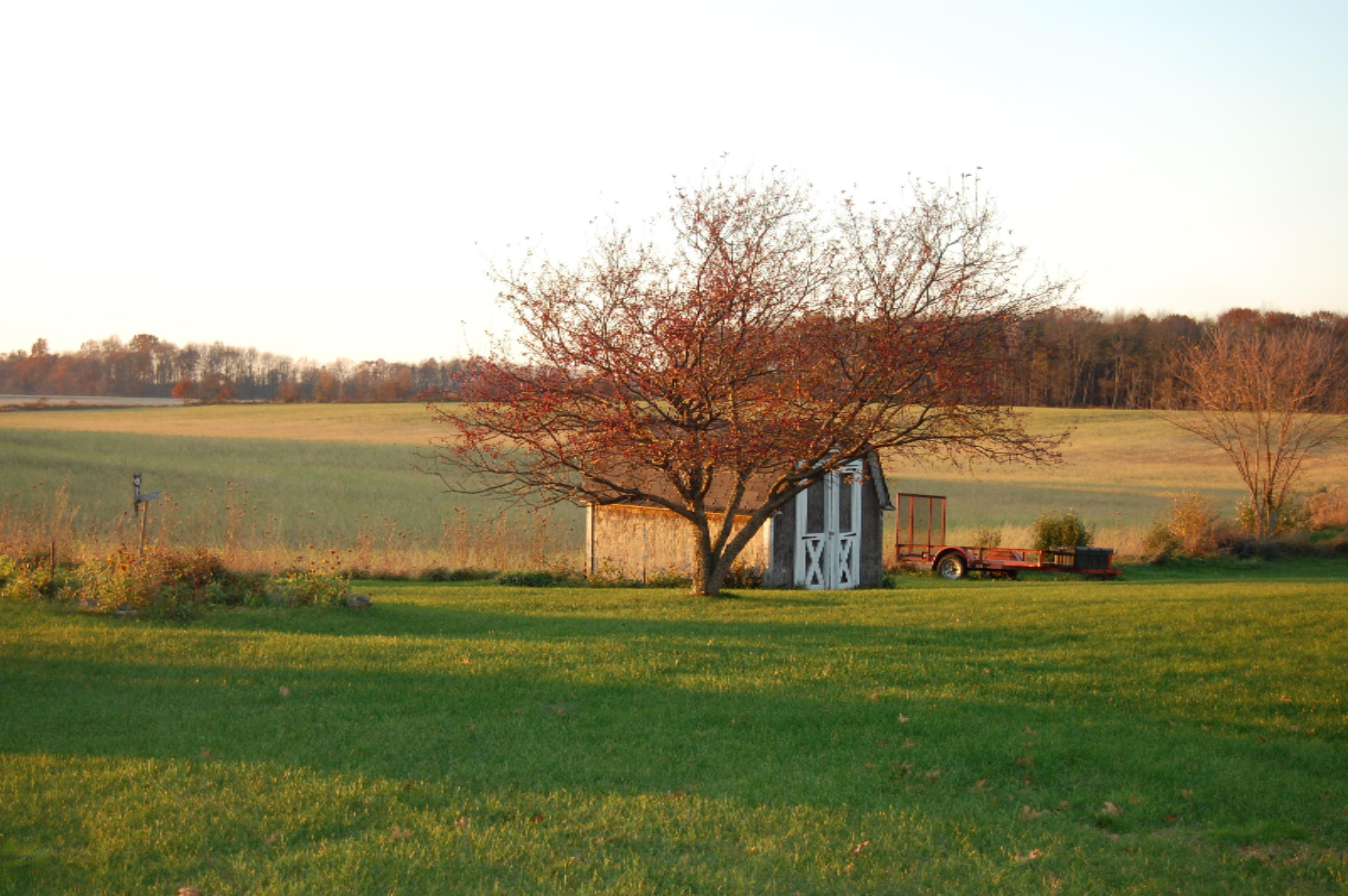 6105 Flannigan Road Orleans, MI 48865 - Photo 10 of 14 DSC_2319 1