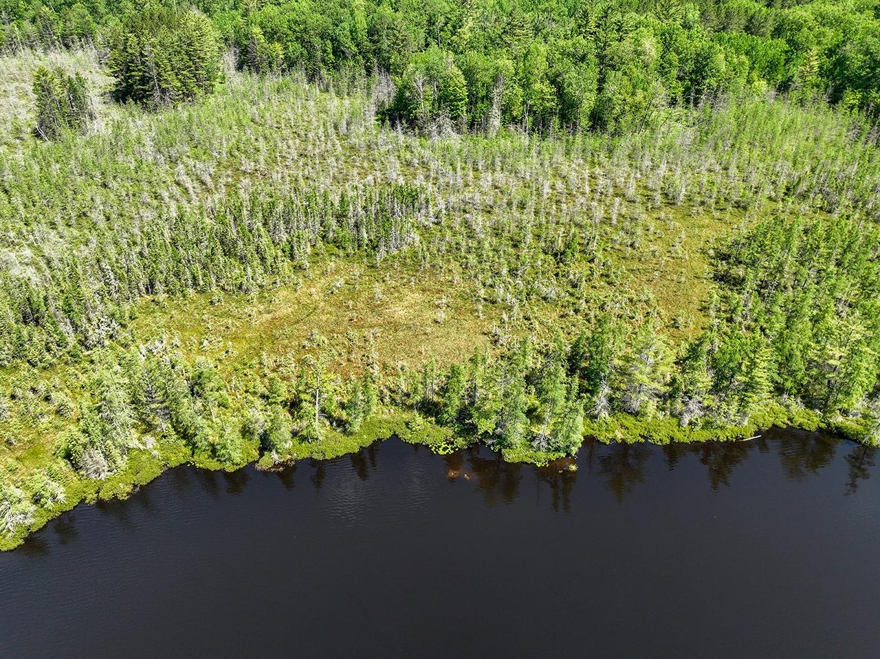 7895 Alva Lake Road Lake Tomahawk, WI 54539 - Photo 60 of 85 Gallery Image 60