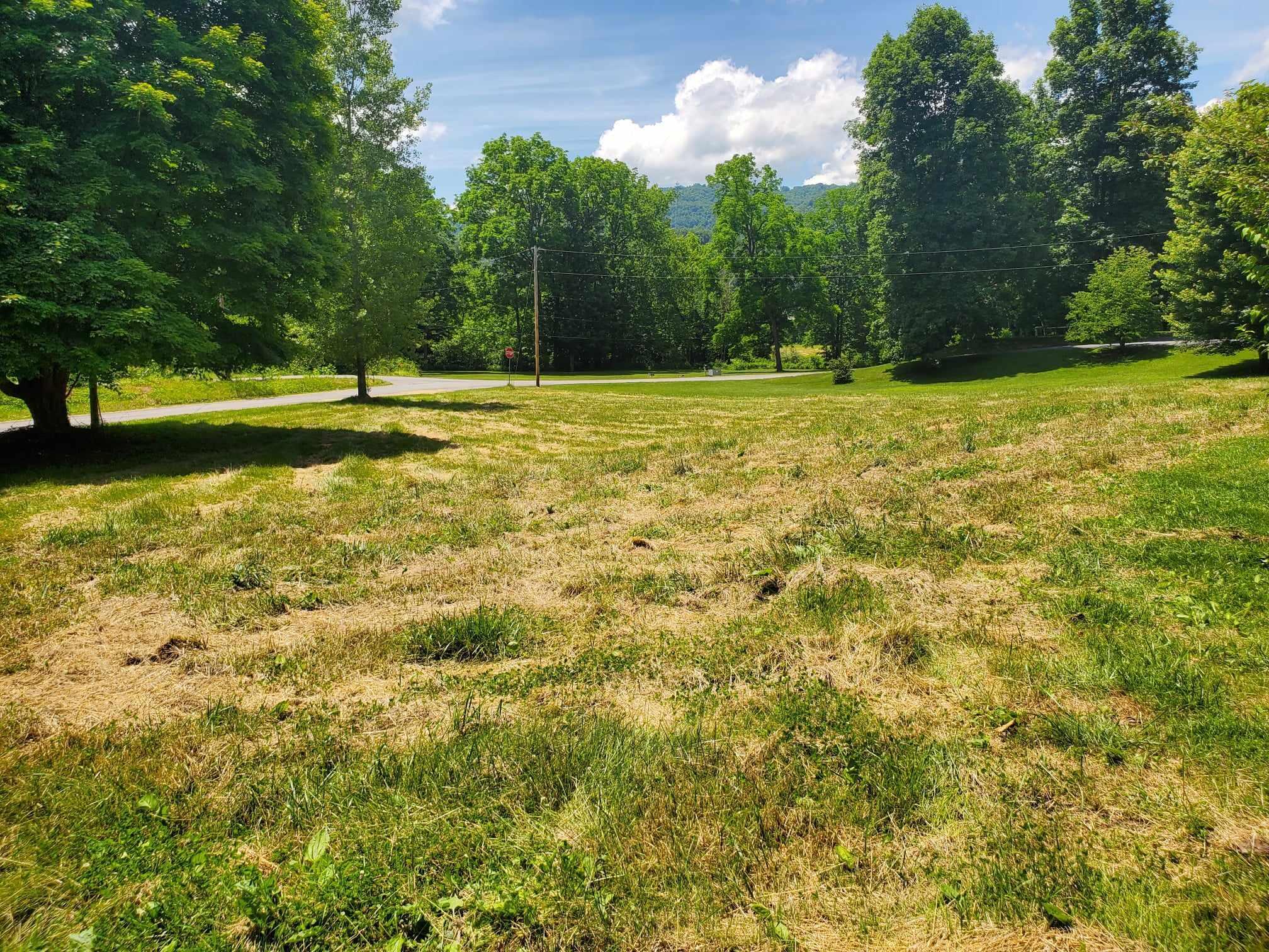 49 Duncan Branch Road Meadow Bridge, WV 25976 - Photo 19 of 21 Gallery Image 19