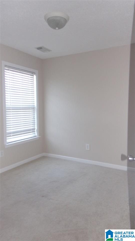 11183 Stone Ridge Court Brookwood, AL 35444 - Photo 21 of 26