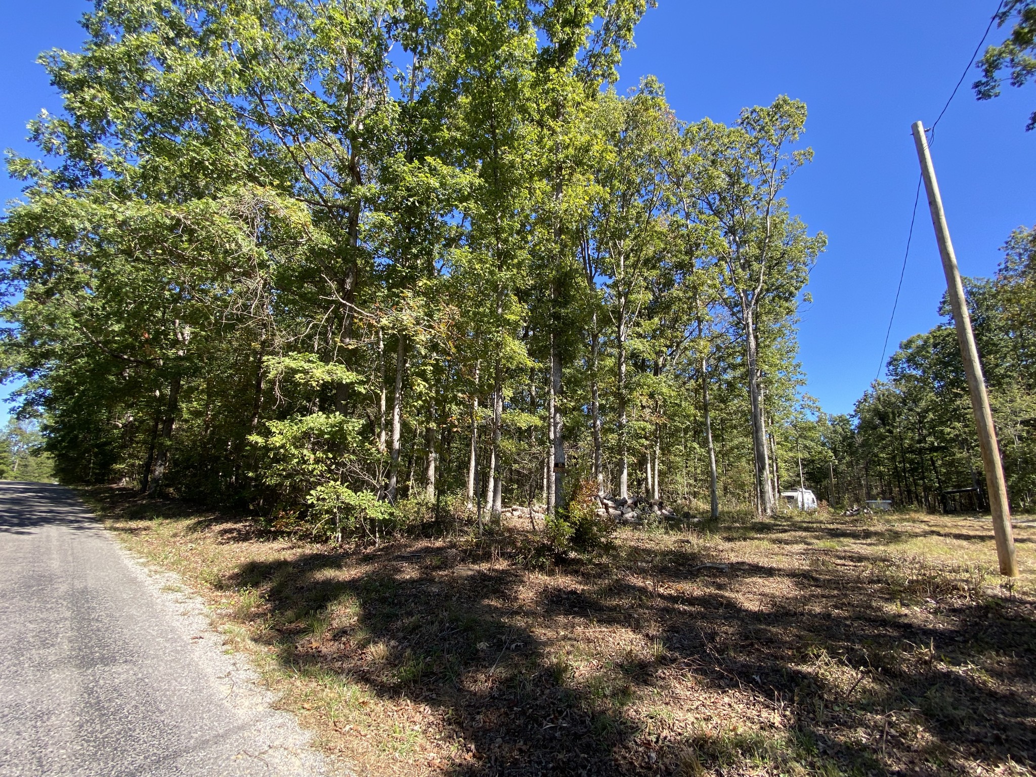 1796 Yoder Road Altamont, TN 37301 - Photo 6 of 34 Gallery Image 6