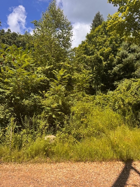 264 Breen Road Hardwick, MA 01037 - Photo 4 of 12 Gallery Image 4