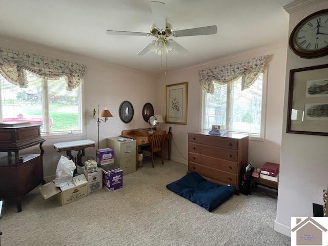 133 Blue River Road Cadiz, KY 42211 - Photo 20 of 42 Photo 20