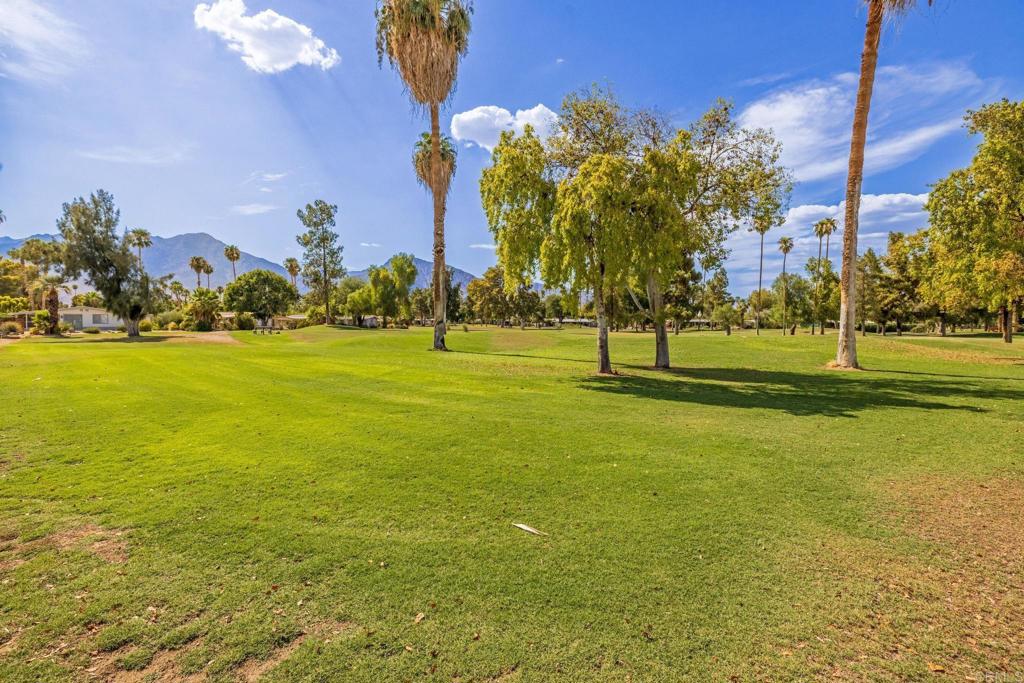 1010 Palm Canyon Drive, Unit 249 Borrego Springs, CA 92004 - Photo 21 of 23 a view of a big yard with palm trees