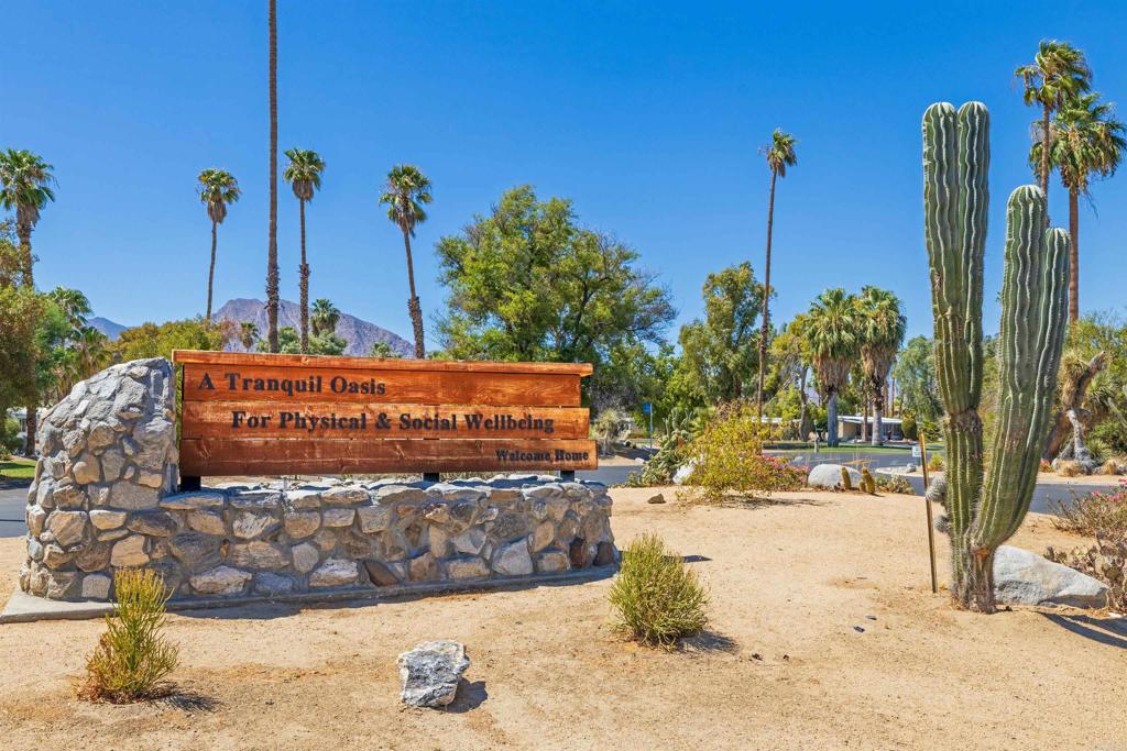 1010 Palm Canyon Drive, Unit 249 Borrego Springs, CA 92004 - Photo 22 of 23 a view of a street with palm trees