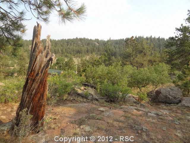 87 Apache Road Florissant, CO 80816 - Photo 15 of 16