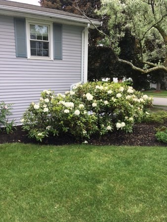8 Danby Road Stoneham, MA 02180 - Photo 17 of 18 Gallery Image 17