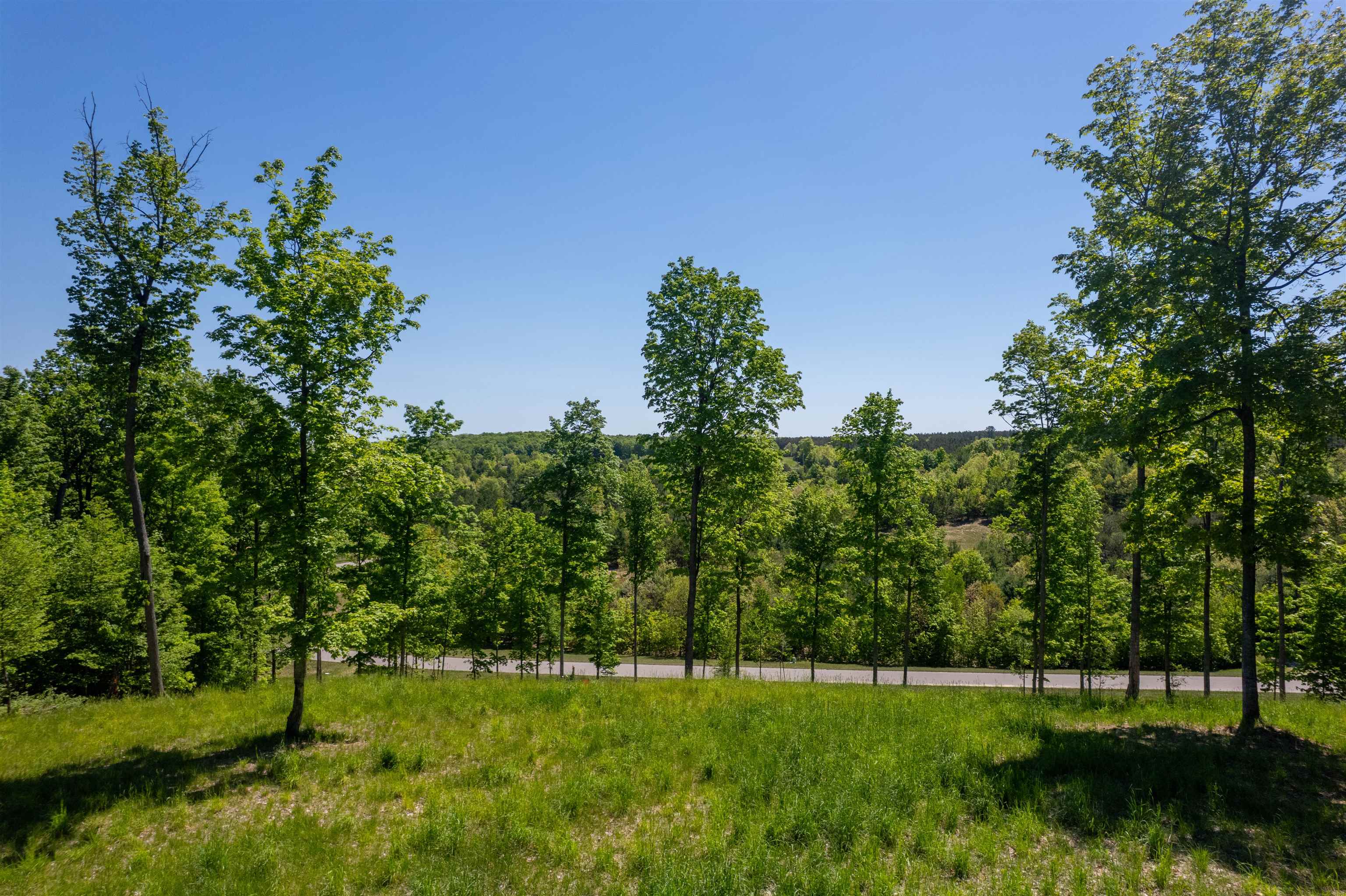 5844 Elkhorn Road, Unit LOT: 73 Kingsley, MI 49649 - Photo 5 of 12