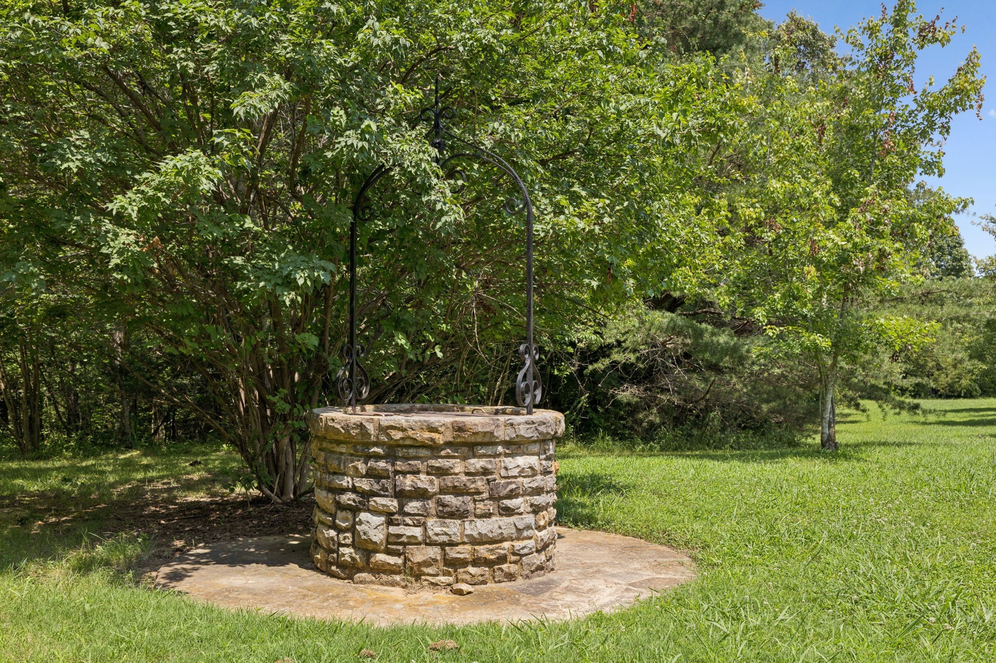 1374 Peter Pond Road Ashland City, TN 37015 - Photo 82 of 94 a view of a garden with large trees