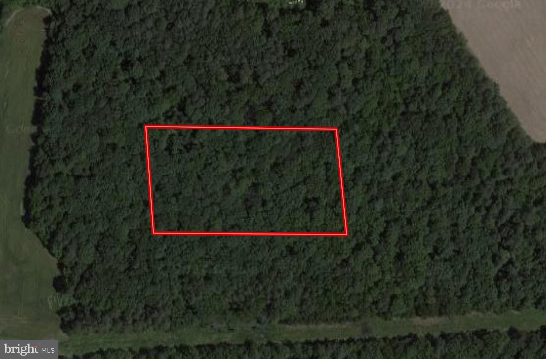 Ridgely Ridgely, MD 21660 - Photo 1 of 3 Gallery Image 1