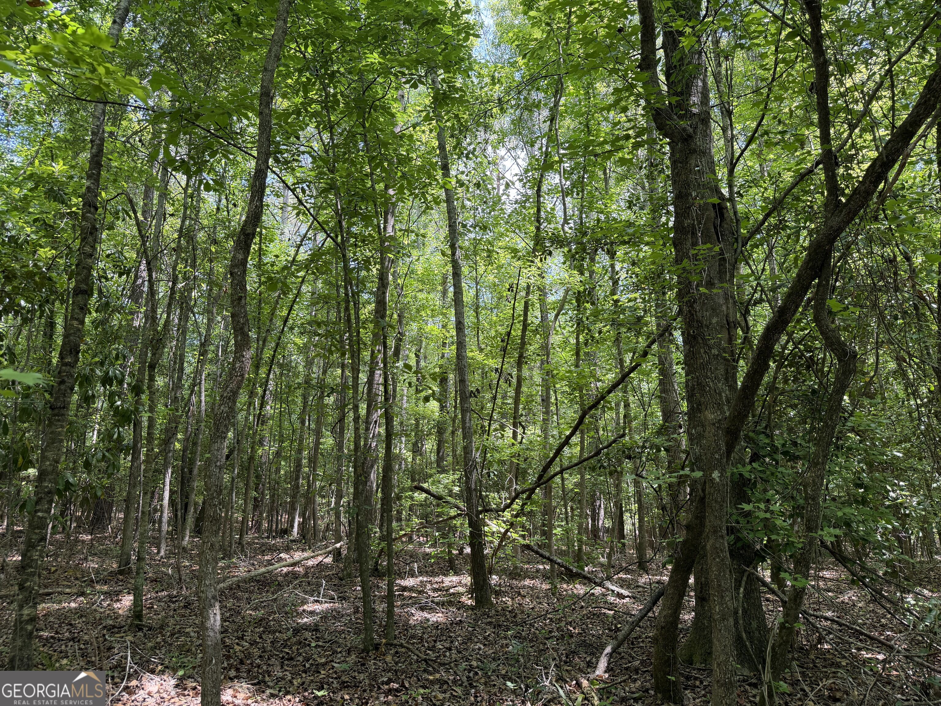 4 Little Sandy Creek Road Toomsboro, GA 31090 - Photo 2 of 7 Gallery Image 2