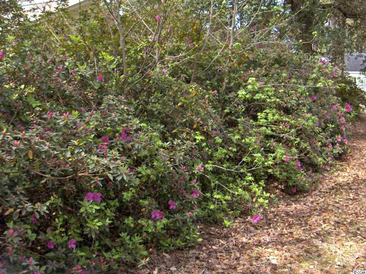 322 Rose Avenue Georgetown, SC 29440 - Photo 18 of 18 Gallery Image 18