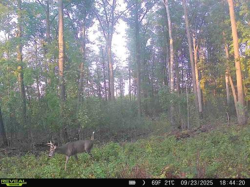 Xxx Fleming Logging Road Hinckley, MN 55037 - Photo 3 of 8
