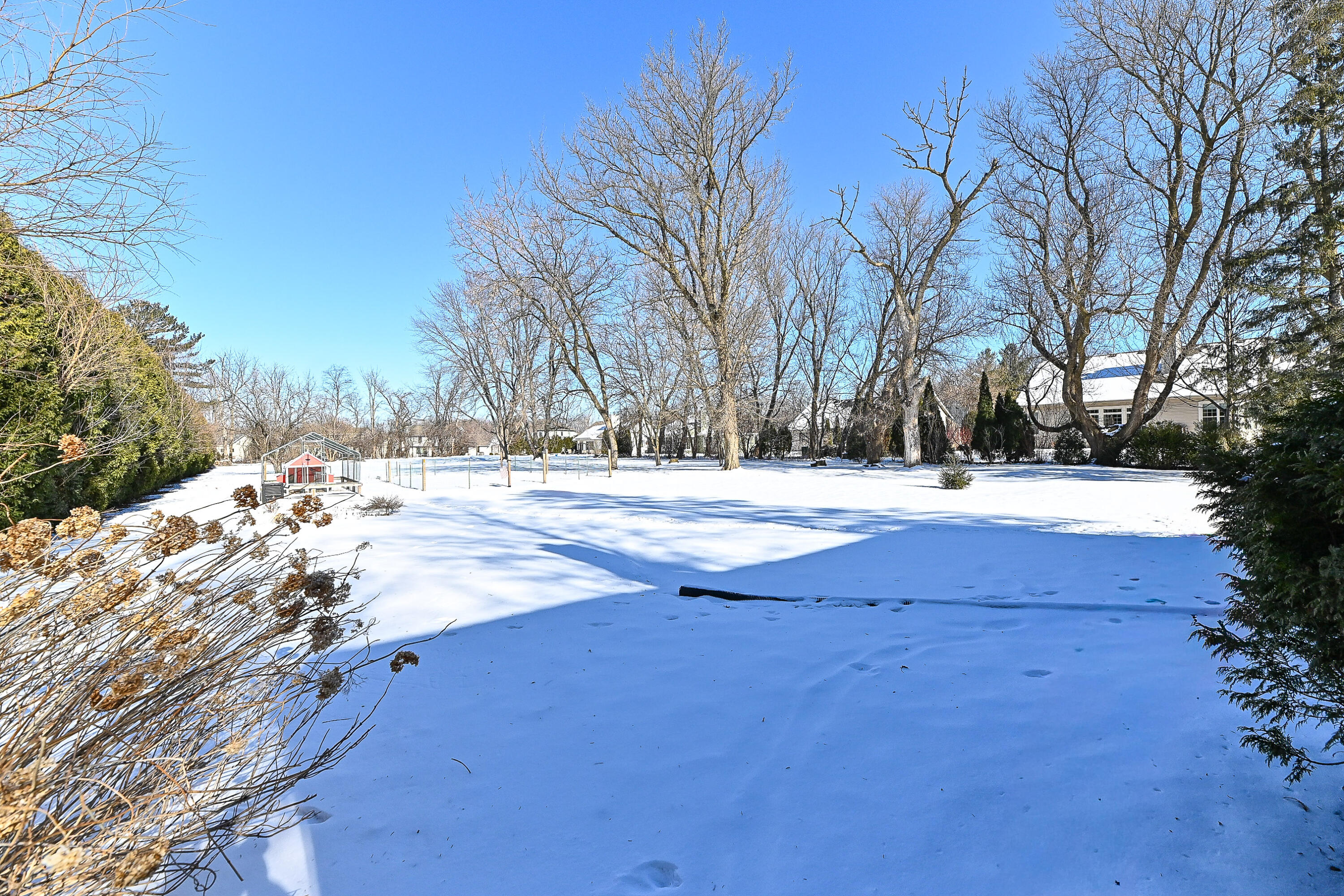 S77W15886 Woods Road Muskego, WI 53150 - Photo 29 of 37 Backyard