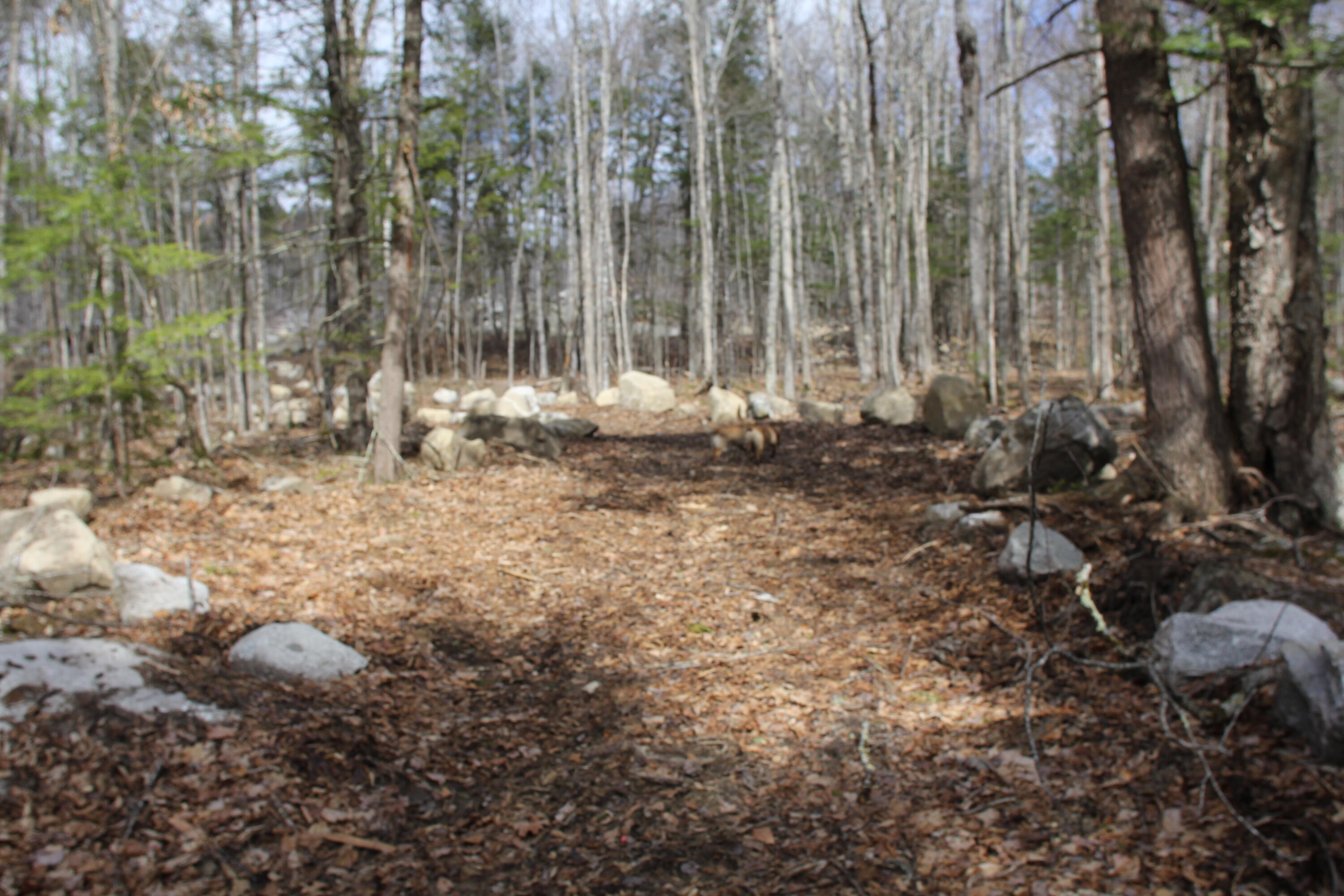 48 Pinnacle Road Canaan, ME 04924 - Photo 11 of 14 IMG_7516