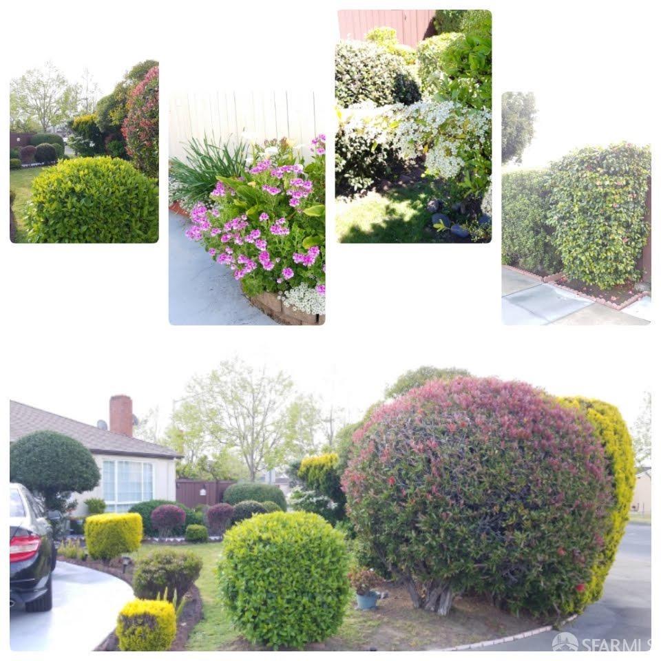 168 Park Boulevard Millbrae, CA 94030 - Photo 3 of 19