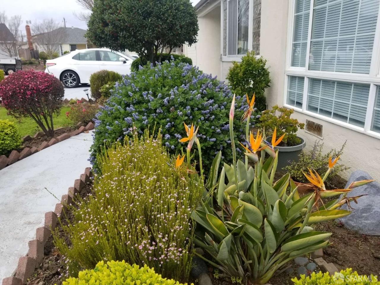 168 Park Boulevard Millbrae, CA 94030 - Photo 8 of 19