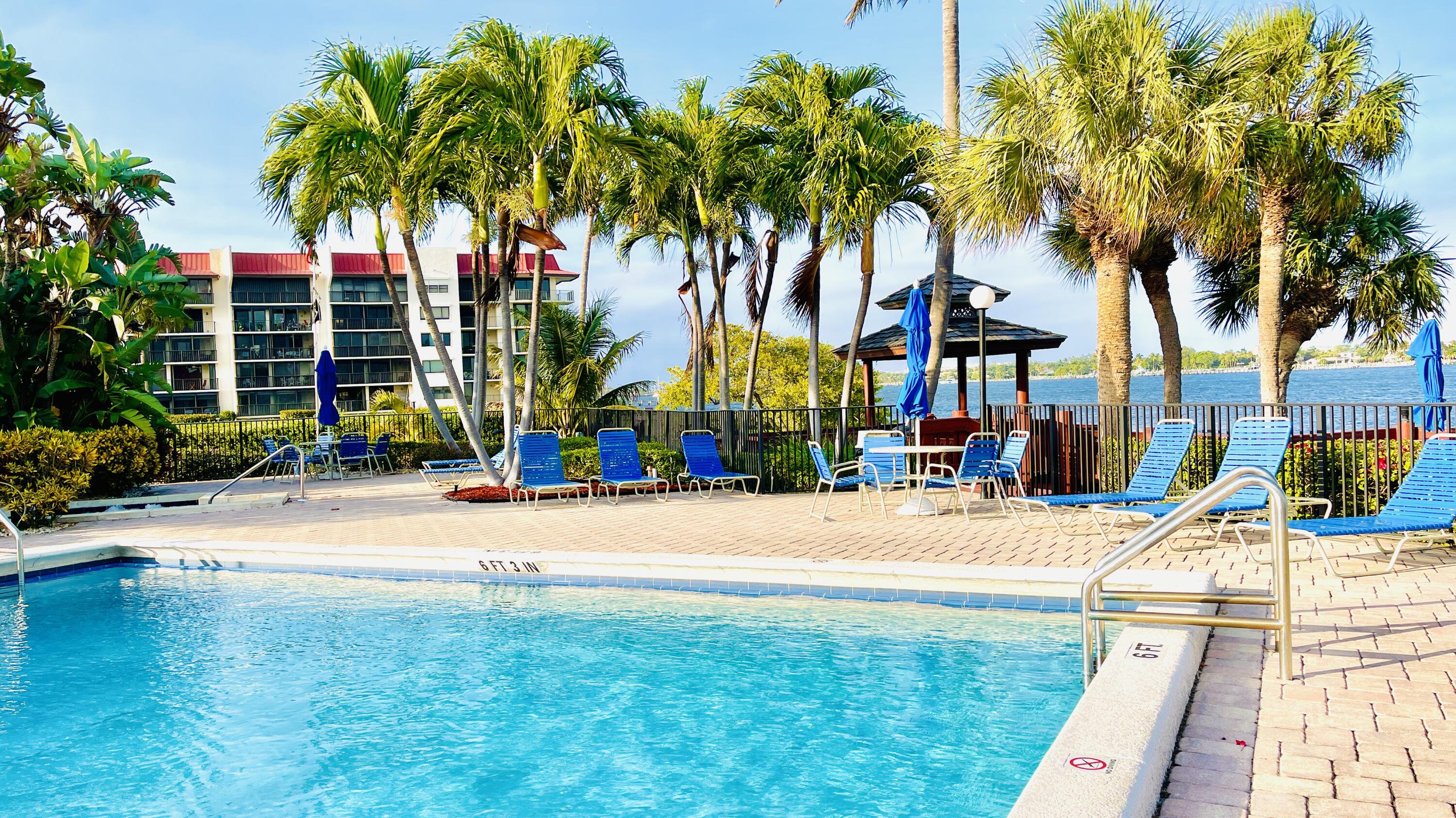 104 Half Moon Circle, Unit B2 Hypoluxo, FL 33462 - Photo 14 of 54 a row of palm trees and a swimming pool in the backyard of a house