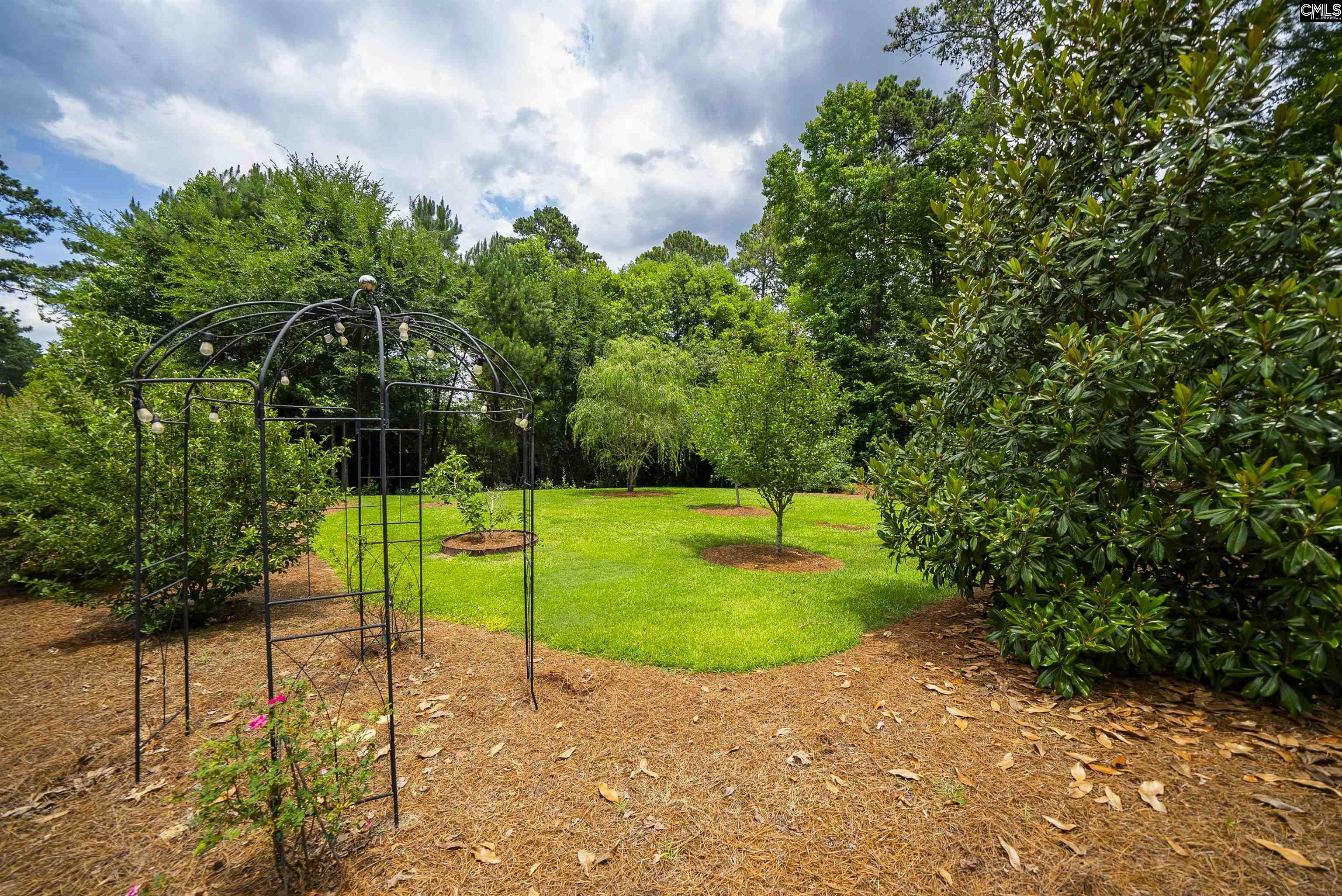 784 Coriander Road Blythewood, SC 29016 - Photo 83 of 97