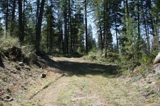 811 Granite Road Newport, WA 99156 - Photo 6 of 18