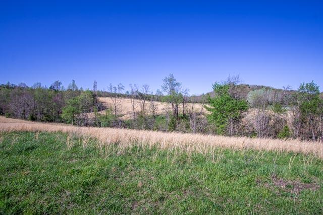 9999 River Road Williamsburg, KY 40769 - Photo 3 of 23 DSC04731-HDR