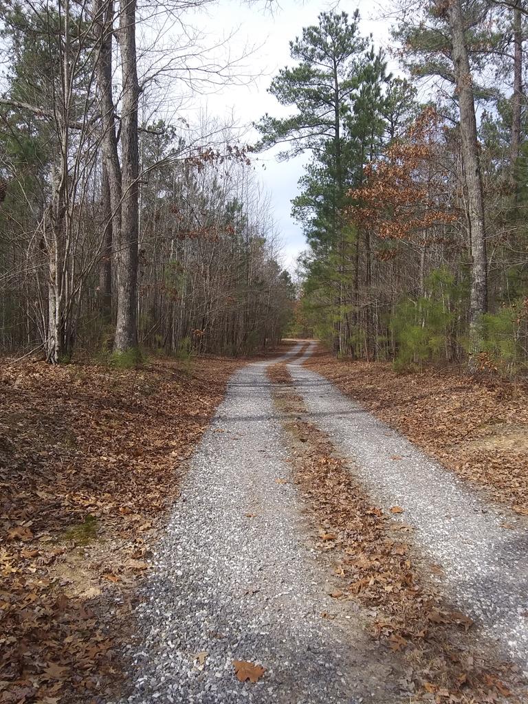 11638 Farmville Road Meherrin, VA 23954 - Photo 15 of 15 Gallery Image 15