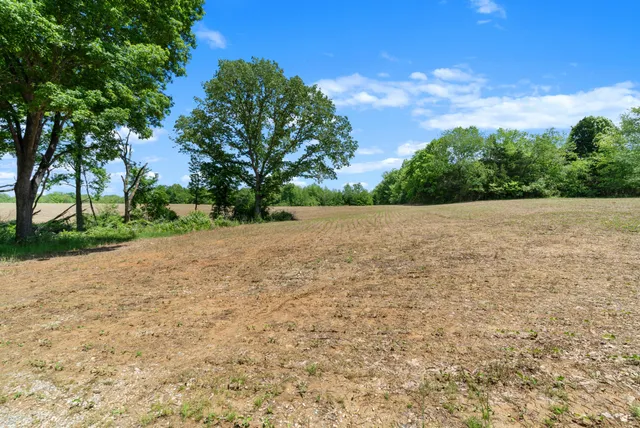 a view of an empty room with trees