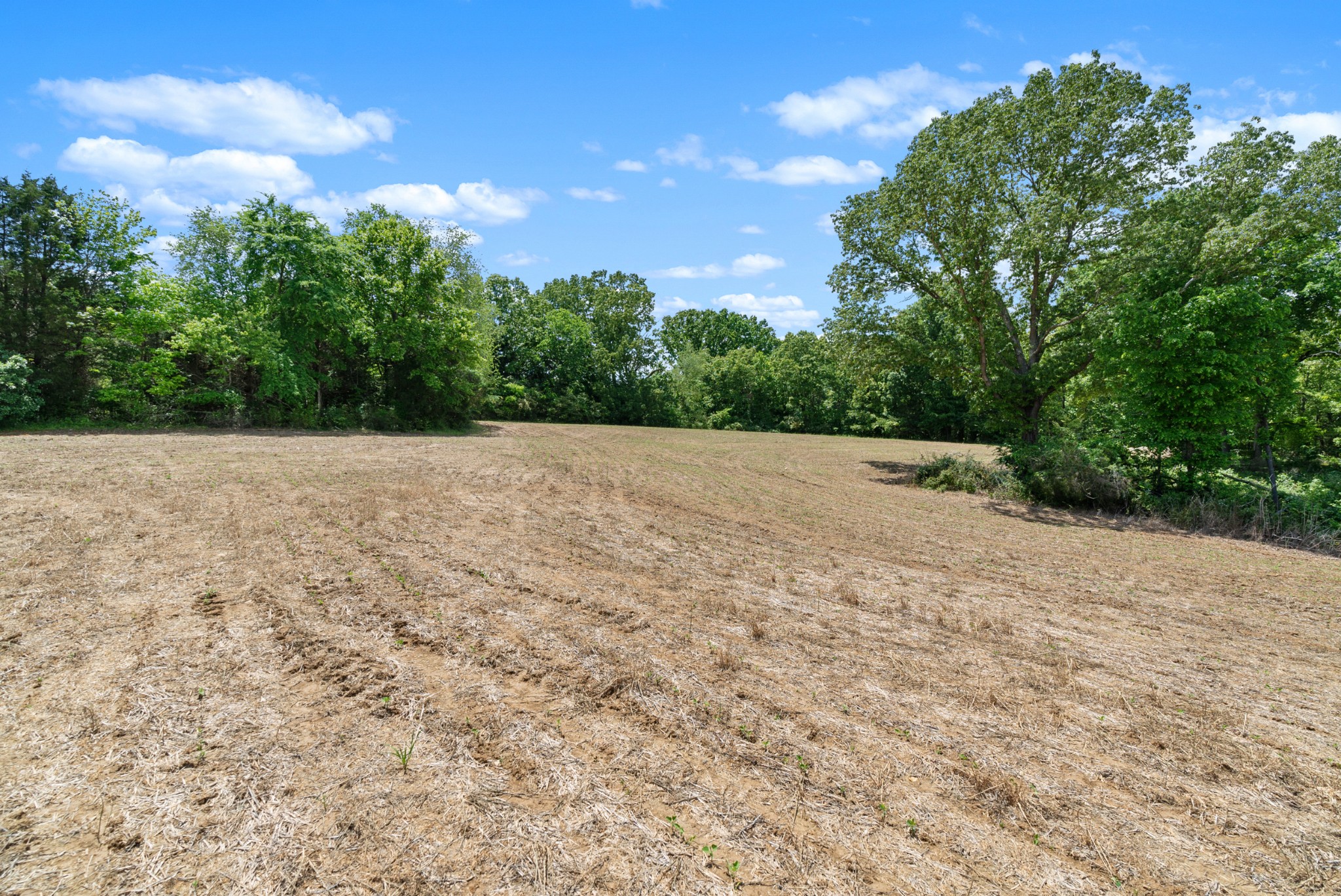 1 Tom Austin Highway Springfield, TN 37172 - Photo 12 of 15 a view of an empty room with trees