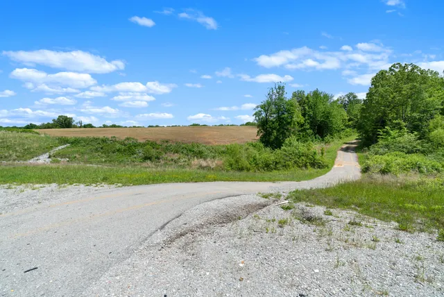 a view of a field with an trees