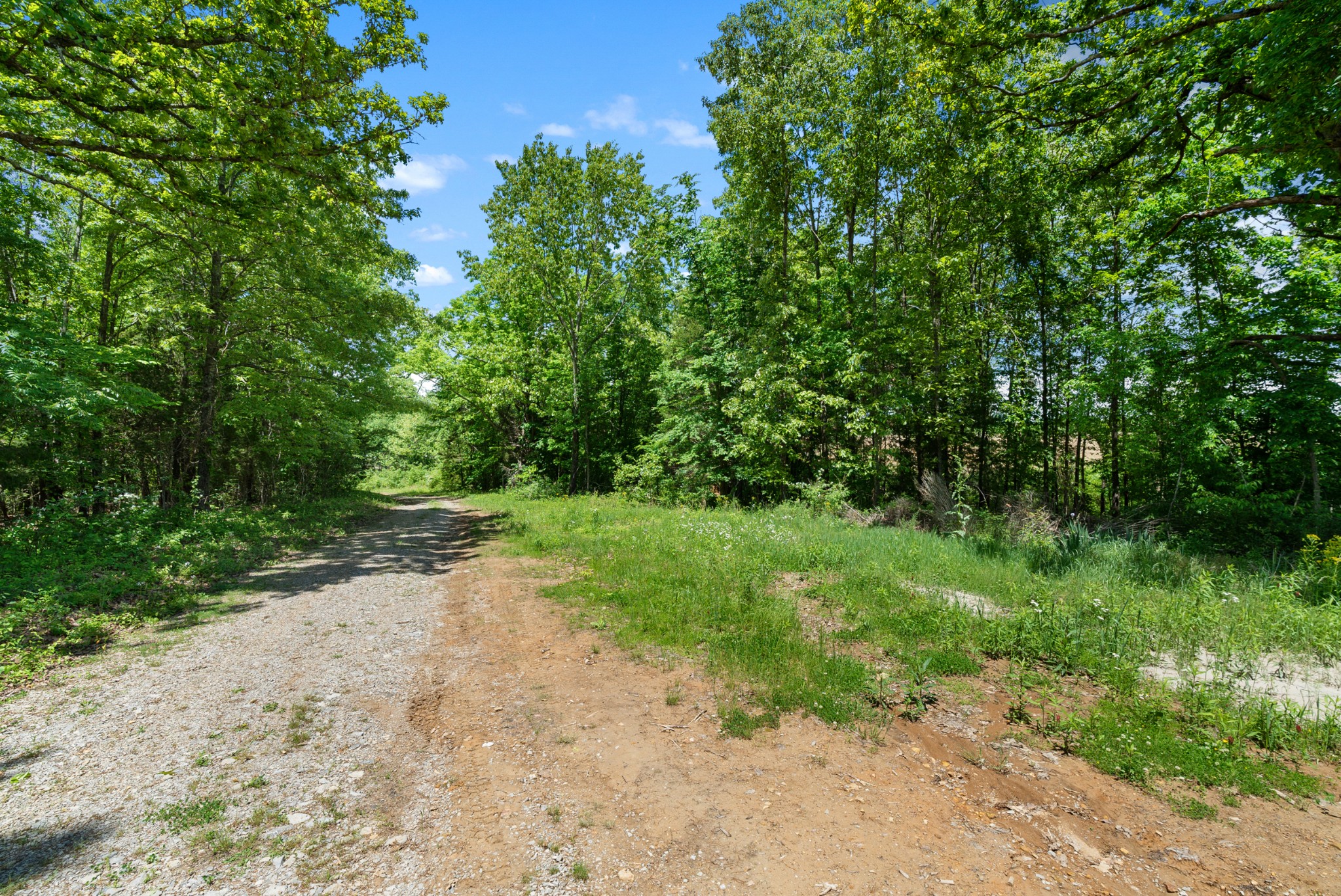 1 Tom Austin Highway Springfield, TN 37172 - Photo 10 of 15 a view of a yard with plants and a trees