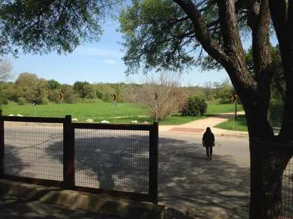 a view of a patio with table and chairs under an large tree