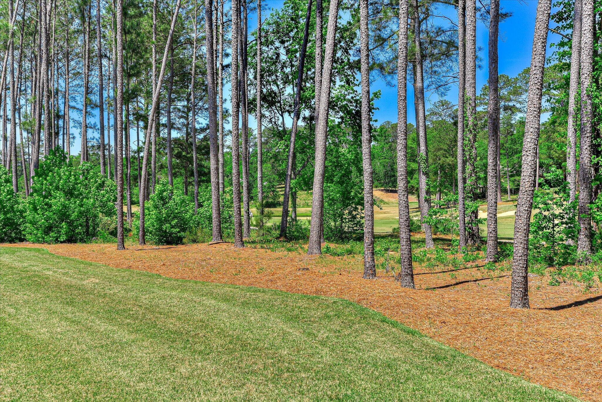 427 Cavalry Run North Augusta, SC 29860 - Photo 11 of 65 56-218